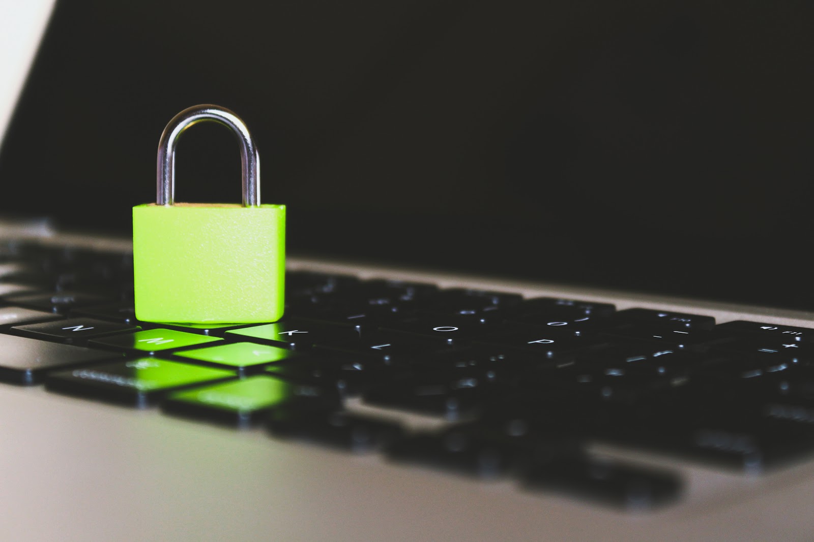 biometric verification systems